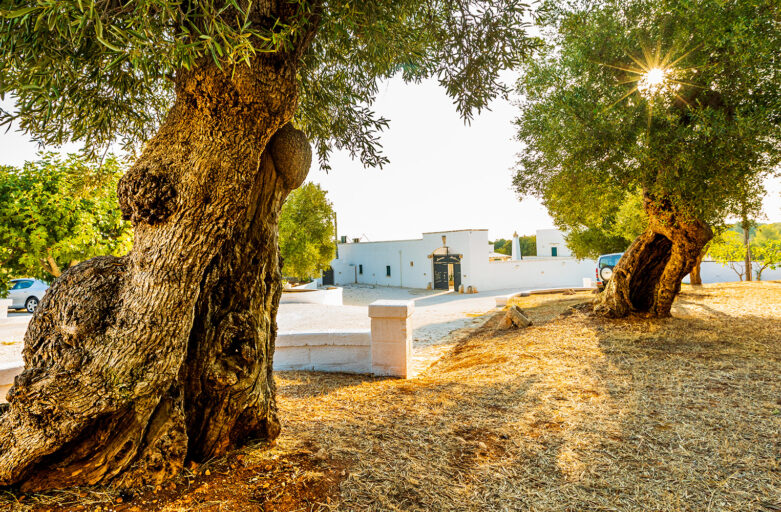 Masseria Abadia Uno Ostuni